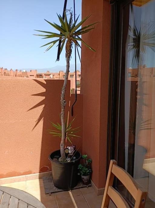 Apartamento Con Vistas El Médano Extérieur photo